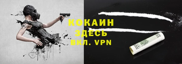 стафф Богданович