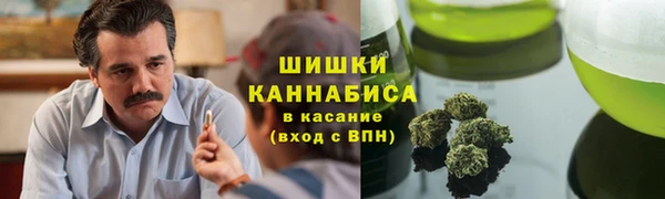стафф Богданович