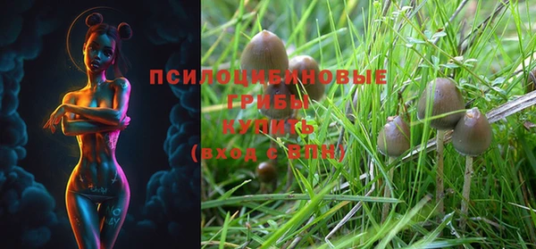 стафф Богданович