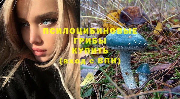 стафф Богородск