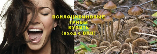 стафф Богородск