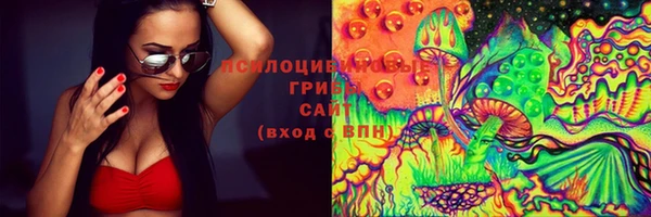 стафф Богородск